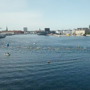 Copenhagen SUP Crossing 2017