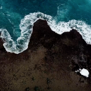 Shortboard Surfing with Mo Freitas