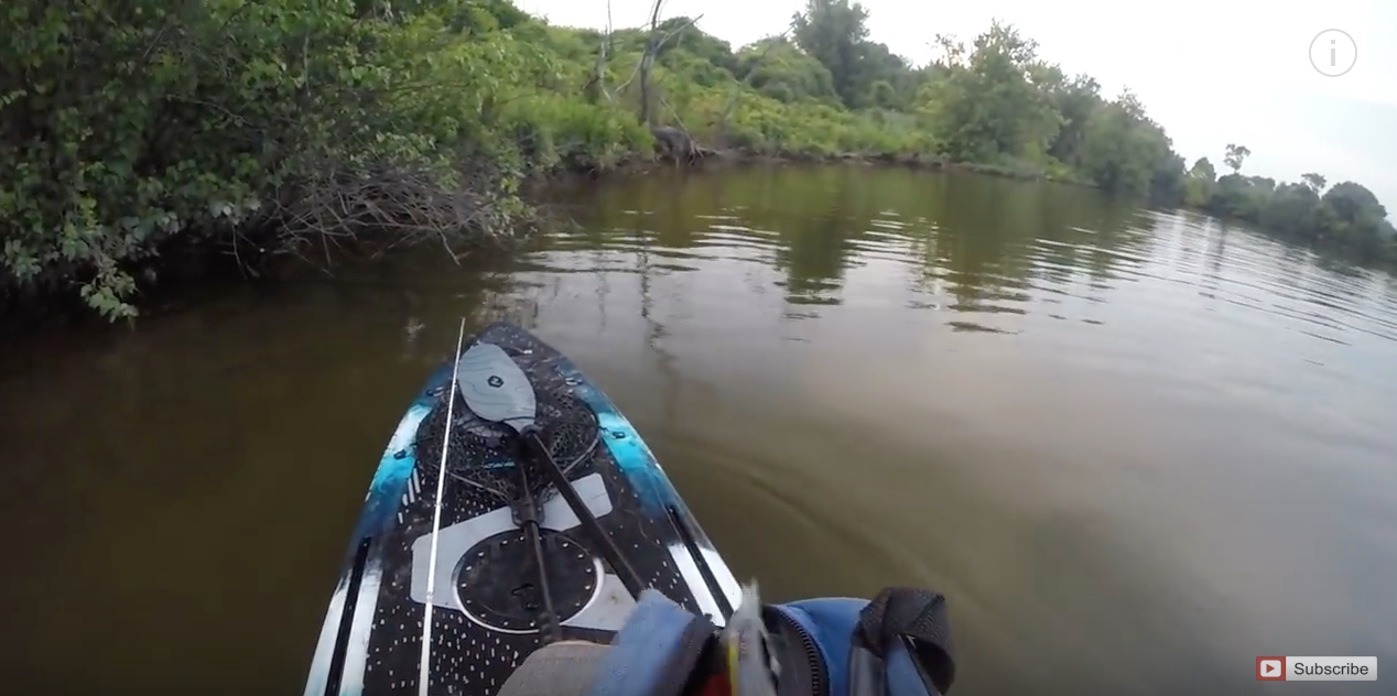 Hitting The River On The SICKEST Fishing Stand Up Paddleboard! VIBE  MAVERICK 120 